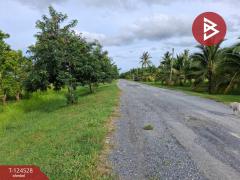 ขายที่ดินพร้อมสิ่งปลูกสร้าง เนื้อที่ 9 ไร่ 3 งาน 38.7 ตารางวา ต.บางจาก นครศรีธรรมราช-202510181614501760778890387.jpg