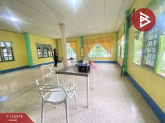 ขายบ้านเดี่ยว เนื้อที่ 1 งาน 50 ตร.วา เมืองชุมแพ ขอนแก่น-202510181621391760779299886.jpg