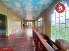 ขายบ้านเดี่ยว เนื้อที่ 1 งาน 50 ตร.วา เมืองชุมแพ ขอนแก่น-202510181621421760779302484.jpg