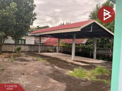 ขายบ้านเดี่ยว เนื้อที่ 1 งาน 50 ตร.วา เมืองชุมแพ ขอนแก่น-202510181621461760779306824.jpg