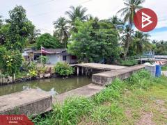 ขายที่ดิน เนื้อที่ 200 ตารางวา คลองน้อย สมุทรสาคร ใกล้วัดท่าเสา ทำเลสวย ราคาพิเศษ-202510181624141760779454908.jpg