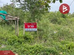 ขายที่ดิน เนื้อที่ 4 ไร่ 1 งาน 49 ตร.วา อ่าวน้อย ประจวบคีรีขันธ์