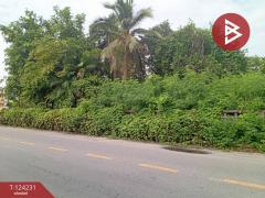 ขายที่ดินพร้อมสิ่งปลูกสร้าง เนื้อที 2 ไร่ 89.7 ตร.วา พระประโทน นครปฐม-202510181727031760783223512.jpg