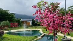 ขายขาดทุน รีสอร์ทสไตล์ญี่ปุ่น น้ำไม่ท่วม อ.แม่ออน เชียงใหม่-202510181757321760785052650.jpg