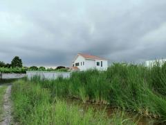 ที่ดินนครอินทร์-ราชพฤกษ์ 120 ตารางวา ใกล้วัดยางป่า ซอย บางขนุน 5 อ.บางกรวย จ.นนทบุรี 095-879-4465-202510182048001760795280636.jpeg