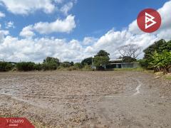 ขายที่ดิน-เนื้อที่-41-ไร่-52-ตารางวา-ซอย