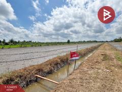 ขายที่ดิน เนื้อที่ 41 ไร่ 52 ตารางวา ซอยไมตรีจิต 10 คลองสามวา กรุงเทพฯ-202510182218461760800726008.jpg