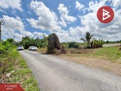 ขายที่ดิน เนื้อที่ 41 ไร่ 52 ตารางวา ซอยไมตรีจิต 10 คลองสามวา กรุงเทพฯ-202510182218461760800726554.jpg