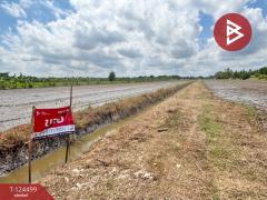 ขายที่ดิน เนื้อที่ 41 ไร่ 52 ตารางวา ซอยไมตรีจิต 10 คลองสามวา กรุงเทพฯ-202510182218471760800727074.jpg