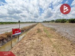 ขายที่ดิน เนื้อที่ 41 ไร่ 52 ตารางวา ซอยไมตรีจิต 10 คลองสามวา กรุงเทพฯ-202510182218471760800727596.jpg