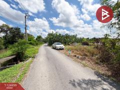 ขายที่ดิน เนื้อที่ 41 ไร่ 52 ตารางวา ซอยไมตรีจิต 10 คลองสามวา กรุงเทพฯ-202510182218481760800728120.jpg