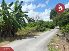 ขายที่ดิน เนื้อที่ 41 ไร่ 52 ตารางวา ซอยไมตรีจิต 10 คลองสามวา กรุงเทพฯ-202510182218481760800728644.jpg