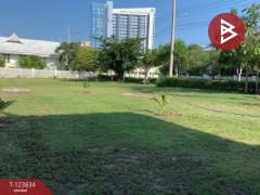 ขายที่ดิน เนื้อที่ 2 งาน 8.1 ตร.วา ชะอำ เพชรบุรี-202510190940201760841620424.jpg