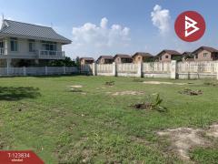 ขายที่ดิน เนื้อที่ 2 งาน 8.1 ตร.วา ชะอำ เพชรบุรี-202510190940221760841622258.jpg