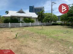 ขายที่ดิน เนื้อที่ 2 งาน 8.1 ตร.วา ชะอำ เพชรบุรี-202510190940221760841622799.jpg