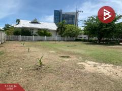 ขายที่ดิน เนื้อที่ 2 งาน 8.1 ตร.วา ชะอำ เพชรบุรี-202510190940231760841623875.jpg