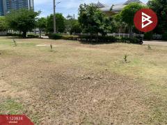 ขายที่ดิน เนื้อที่ 2 งาน 8.1 ตร.วา ชะอำ เพชรบุรี-202510190940241760841624413.jpg