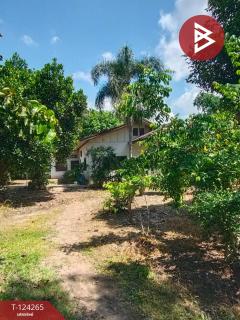 ขายที่ดินพร้อมสิ่งปลูกสร้าง เนื้อที่ 4 ไร่ 87.5 ตร.วา เชียงคาน เลย-202510191007341760843254450.jpg