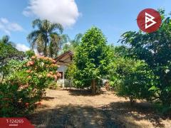 ขายที่ดินพร้อมสิ่งปลูกสร้าง เนื้อที่ 4 ไร่ 87.5 ตร.วา เชียงคาน เลย-202510191007341760843254970.jpg