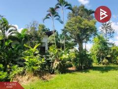 ขายที่ดินพร้อมสิ่งปลูกสร้าง เนื้อที่ 4 ไร่ 87.5 ตร.วา เชียงคาน เลย-202510191007371760843257587.jpg