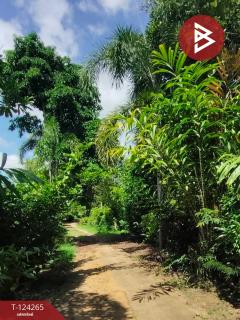 ขายที่ดินพร้อมสิ่งปลูกสร้าง เนื้อที่ 4 ไร่ 87.5 ตร.วา เชียงคาน เลย-202510191007381760843258630.jpg