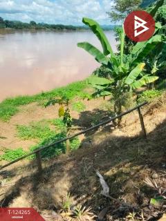 ขายที่ดินพร้อมสิ่งปลูกสร้าง เนื้อที่ 4 ไร่ 87.5 ตร.วา เชียงคาน เลย-202510191007391760843259677.jpg