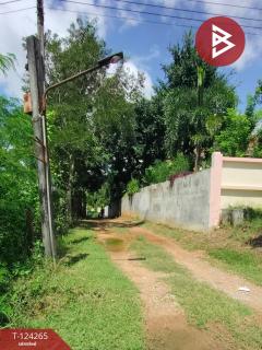 ขายที่ดินพร้อมสิ่งปลูกสร้าง เนื้อที่ 4 ไร่ 87.5 ตร.วา เชียงคาน เลย-202510191007401760843260734.jpg