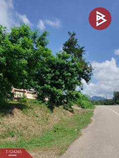 ขายที่ดินพร้อมสิ่งปลูกสร้าง เนื้อที่ 4 ไร่ 87.5 ตร.วา เชียงคาน เลย-202510191007411760843261261.jpg