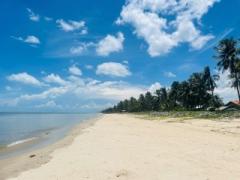 ขาย 4.9 ล้าน  ลดราคาเหลือ 3 ล้านบาท ที่ติดทะเล สงขลา ระโนด 1ไร่ 24วา 081-3755244