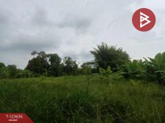 ขายที่ดินเปล่า ติดแม่น้ำ 4 ไร่  34.6 ตร.วา บ้านใหญ่ นครนายก