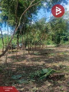 ขายที่ดินเปล่า ติดแม่น้ำ 4 ไร่  34.6 ตร.วา บ้านใหญ่ นครนายก-202510191215161760850916285.jpg