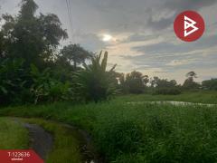 ขายที่ดินเปล่า ติดแม่น้ำ 4 ไร่  34.6 ตร.วา บ้านใหญ่ นครนายก-202510191215171760850917862.jpg