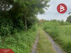 ขายที่ดินเปล่า ติดแม่น้ำ 4 ไร่  34.6 ตร.วา บ้านใหญ่ นครนายก-202510191215181760850918903.jpg