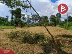 ขายที่ดินเปล่า ติดแม่น้ำ 4 ไร่  34.6 ตร.วา บ้านใหญ่ นครนายก-202510191215191760850919421.jpg