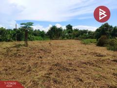 ขายที่ดินเปล่า ติดแม่น้ำ 4 ไร่  34.6 ตร.วา บ้านใหญ่ นครนายก-202510191215191760850919952.jpg