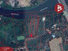 ขายที่ดินเปล่า ติดแม่น้ำ 4 ไร่  34.6 ตร.วา บ้านใหญ่ นครนายก-202510191215221760850922683.jpg