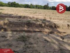 ขายที่ดิน เนื้อที่ 27 ไร่ 2 งาน 80 ตร.วา เขื่องใน อุบลราชธานี