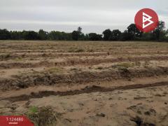 ขายที่ดิน เนื้อที่ 27 ไร่ 2 งาน 80 ตร.วา เขื่องใน อุบลราชธานี-202510191240351760852435948.jpg