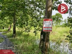 ขายถูกที่ดินเปล่า-เนื้อที่-200-ตารางว