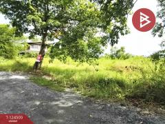 ขายถูกที่ดินเปล่า เนื้อที่ 200 ตารางวา หนองจอก กรุงเทพฯ ใกล้ถนนใหญ่-202510191251451760853105709.jpg