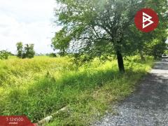 ขายถูกที่ดินเปล่า เนื้อที่ 200 ตารางวา หนองจอก กรุงเทพฯ ใกล้ถนนใหญ่-202510191251461760853106239.jpg