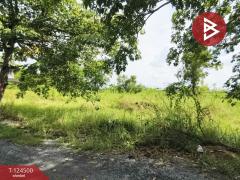 ขายถูกที่ดินเปล่า เนื้อที่ 200 ตารางวา หนองจอก กรุงเทพฯ ใกล้ถนนใหญ่-202510191251461760853106767.jpg