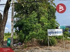 ขายถูกที่ดินเปล่า เนื้อที่ 200 ตารางวา หนองจอก กรุงเทพฯ ใกล้ถนนใหญ่-202510191251471760853107711.jpg