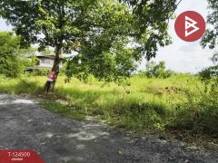 ขายถูกที่ดินเปล่า เนื้อที่ 200 ตารางวา หนองจอก กรุงเทพฯ ใกล้ถนนใหญ่-202510191251481760853108752.jpg