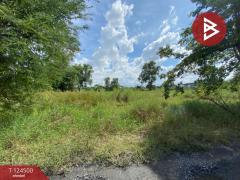 ขายถูกที่ดินเปล่า เนื้อที่ 200 ตารางวา หนองจอก กรุงเทพฯ ใกล้ถนนใหญ่-202510191251491760853109797.jpg