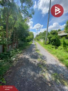 ขายถูกที่ดินเปล่า เนื้อที่ 200 ตารางวา หนองจอก กรุงเทพฯ ใกล้ถนนใหญ่-202510191251501760853110842.jpg