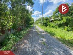 ขายถูกที่ดินเปล่า เนื้อที่ 200 ตารางวา หนองจอก กรุงเทพฯ ใกล้ถนนใหญ่-202510191251511760853111634.jpg