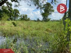 ขายถูกที่ดินเปล่า เนื้อที่ 200 ตารางวา หนองจอก กรุงเทพฯ ใกล้ถนนใหญ่-202510191251521760853112157.jpg