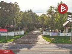 ขายบ้านเดี่ยว-เนื้อที่-5-ไร่-3-งาน-88-ตร.