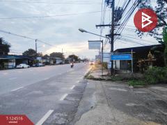 ขายบ้านเดี่ยว หมู่บ้านจิตรเกษม ฉะเชิงเทรา พร้อมอยู่-202510191527261760862446629.jpg